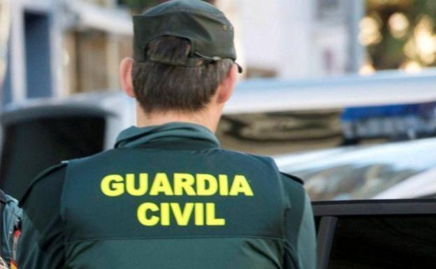 Casi 650 plantas incautadas en dos operaciones antidroga en Guadix y Ventas de Huelma