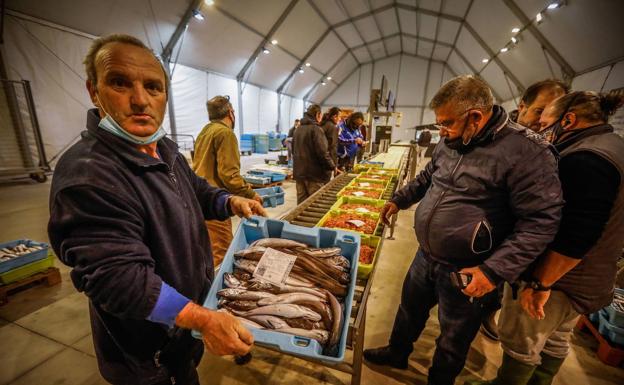 La lonja de Motril logra la mejor facturación de los últimos cuatro años por la recuperación de especies