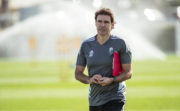 Aitor Karanka, exentrenador del Granada./ALFREDO AGUILAR